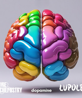 Lupole