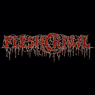 Fleshcrawl artist picture