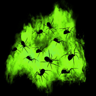 †SPIDER†