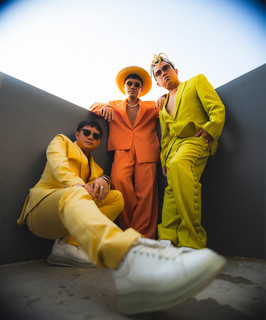 The Wonggoys