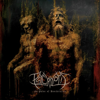 Psycroptic artist picture