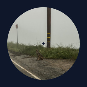 Écouter "coast2coast" de Dominic Fike