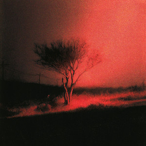 Joji - Piss In The Wind (Limited Ruby Black Wave Colored Vinyl +