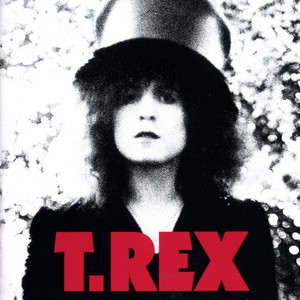 Écouter "Mystic Lady" de T. Rex