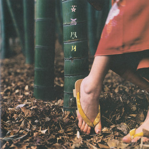 スピッツ / 花鳥風月+ [2LP - UPJH-9082/3]：JAPANESE：アナログ