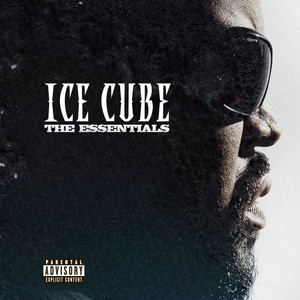 Écouter "Check Yo Self" de Ice Cube
