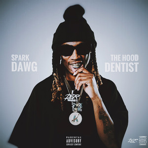Spark Dawg