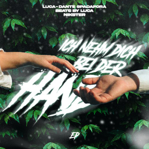 Écouter "Ich nehm dich bei der Hand - Hardstyle" de Beats by Luca