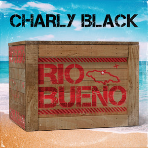 Écouter "Turn Me On" de Charly Black