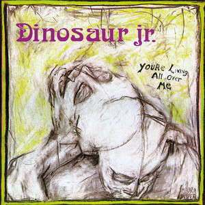 🇺🇸 Dinosaur Jr. (ダイナソーJr.) | 永遠の詩