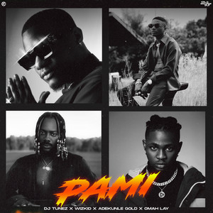Écouter "PAMI" de Wizkid
