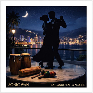 Bailando en la noche cover