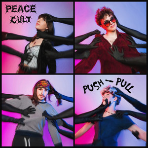 WMNF SOTD 1/14/25 PUSH/PULL by Peace Cult - WMNF 88.5 FM