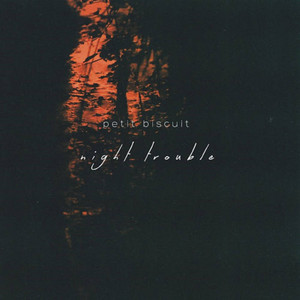 Night Trouble cover artwork