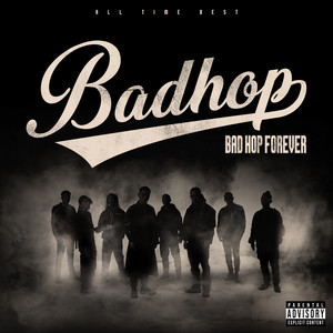 BAD HOP FOREVER (ALL TIME BEST)【アナログ盤】【重量盤LP(4枚組) +