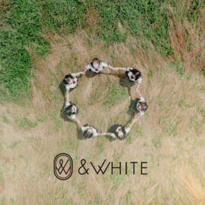 &WHITEのSpotify画像