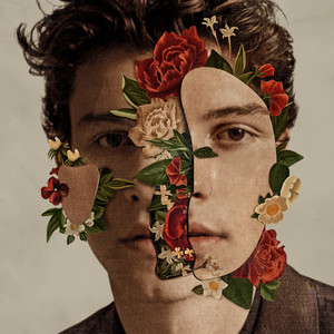 Écouter "Fallin' All In You" de Shawn Mendes