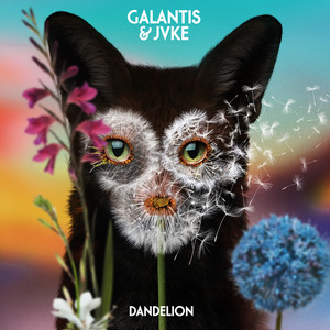 Écouter "Dandelion" de Galantis