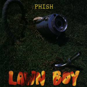 Écouter "Bouncing Around the Room" de Phish