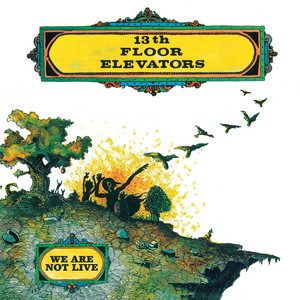 Albums Of The Week: 13th Floor Elevators | We Are Not Live - Tinnitist