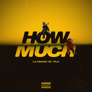 Pochette de How Much