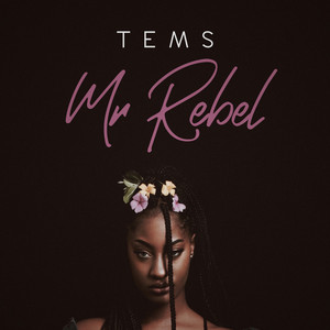 Écouter "Mr Rebel" de Tems