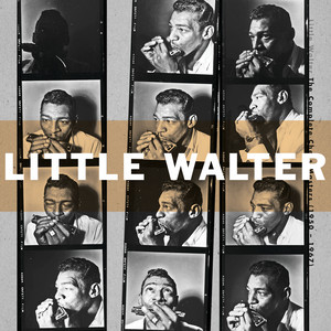 WBSS Media-Little Walter