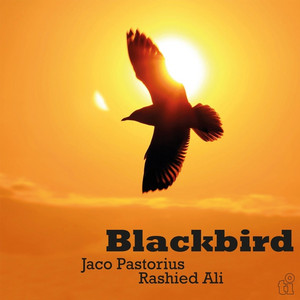 Jaco Pastorius & Rashied Ali - Blackbird (Green VInyl) | Music On