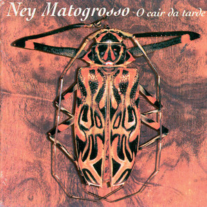 Écouter "O Trenzinho Do Caipira" de Ney Matogrosso
