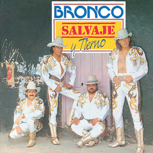 Écouter "Oro" de Bronco