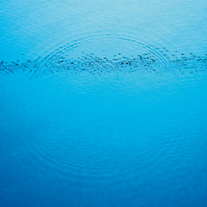 Home cover artwork