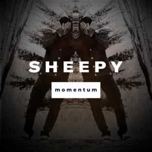 Momentum by Sheepy