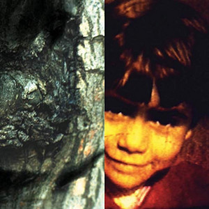 Écouter "The Waltz of the Monsters - Accordions" de Yann Tiersen