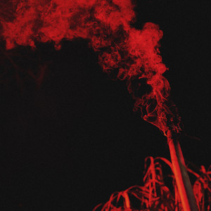 Écouter "RED LIGHTS" de L-Fresh The Lion