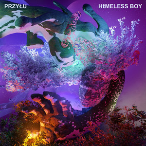 Écouter "HOMELESS BOY" de przyłu