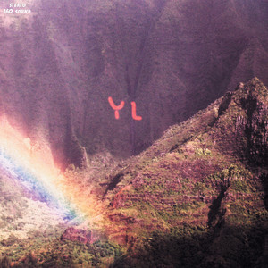 Youth Lagoon - The Year of Hibernation (Deluxe Double Vinyl (45