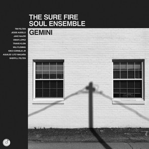 THE SURE FIRE SOUL ENSEMBLE - Gemini – Colemine Records