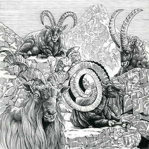 Écouter "GOAT" de C Jamm