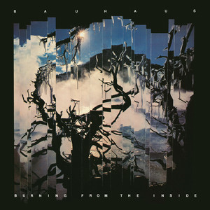 BAUHAUS / BURNING FROM THE INSIDE [LP - BEGA 45]：NEW WAVE