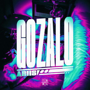 Écouter "GOZALO (Ultra Slowed)" de Ariis