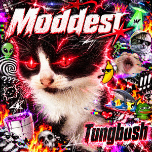 Tungbush album artwork