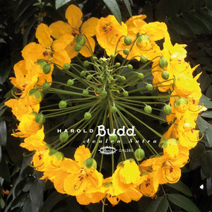 Écouter "Little Heart - 2013 Remaster" de Harold Budd