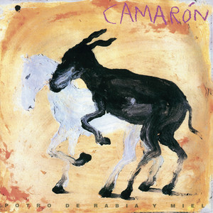 Écouter "Potro De Rabia Y Miel - Bulerías" de Camarón de la Isla