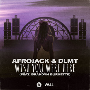 Écouter "Wish You Were Here" de Afrojack