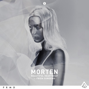 Écouter "Beautiful Heartbeat" de morten