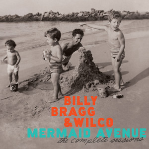 Écouter "Remember The Mountain Bed" de Wilco