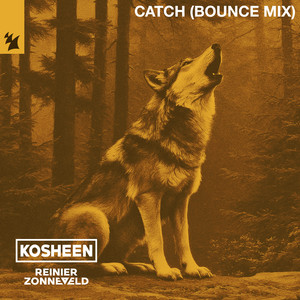 Écouter "Catch - Bounce Mix" de Reinier Zonneveld