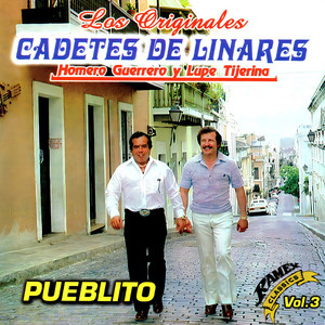 Écouter "El Regio Traficante" de Los Cadetes de Linares