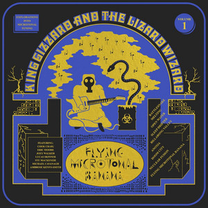 Écouter "Rattlesnake" de King Gizzard & the Lizard Wizard