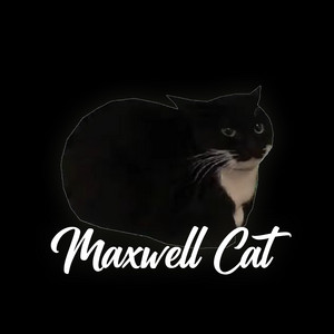 Maxwell Cat (Remix) artwork